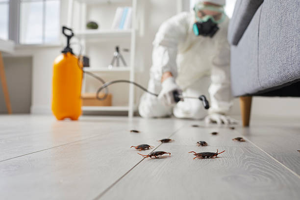 Trusted Fumigation Services service in Bellefontaine Neighbors, MO - Nex Pest Control