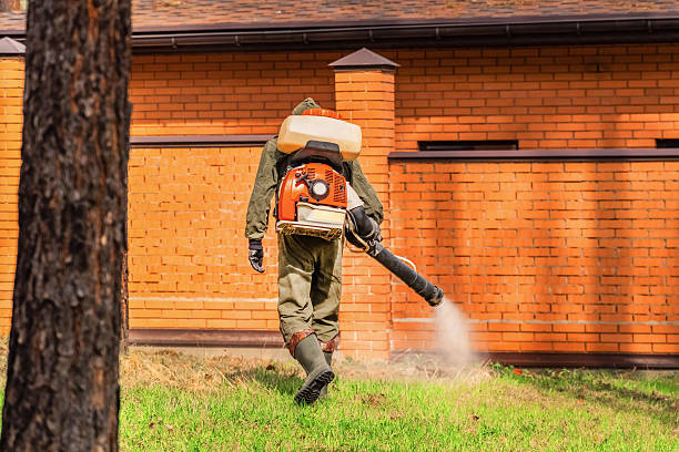 Trusted Mosquito Control service in Bellefontaine Neighbors, MO - Nex Pest Control